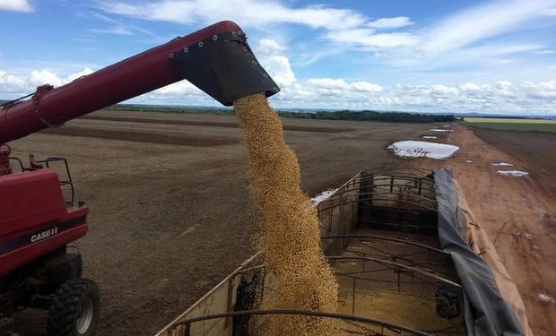 Sobre finales de agosto una delegación china verificó plantas procesadoras de harina de soja de la Argentina.