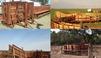 Cuánto cuesta tener instalaciones ganaderas en madera: las soluciones de la empresa que desde La Pampa se volvió líder del campo argentino