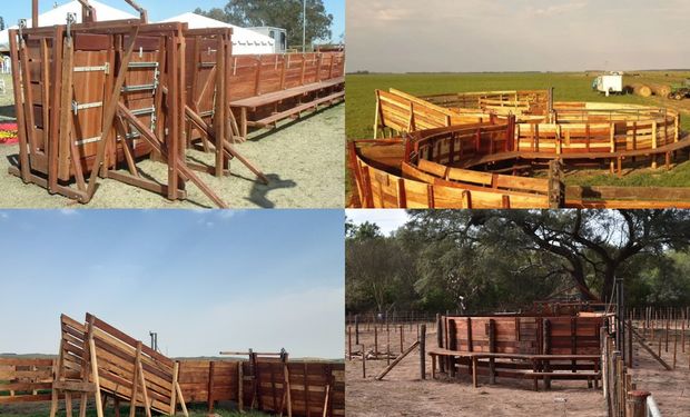 Cuánto cuesta tener instalaciones ganaderas en madera: las soluciones de la empresa que desde La Pampa se volvió líder del campo argentino
