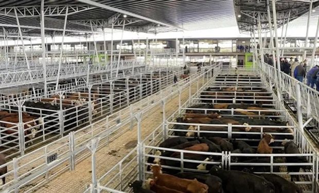 El paro impactó en el mercado de Cañuelas y sólo ingresaron 4.321 animales