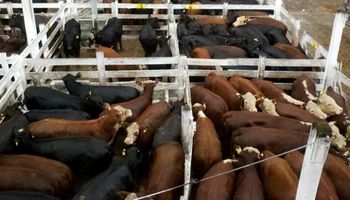 Valores destacados en Cañuelas 