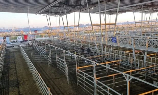 Demanda selectiva en el mercado de Cañuelas