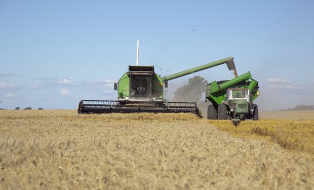 Rusia provee trigo a Brasil a menor precio y Argentina cede en la participación del mercado