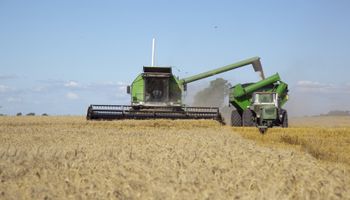 Las lluvias complican la cosecha de trigo y es el mayor retraso de los últimos cuatro años
