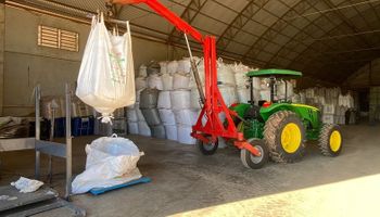 Maior operação contra pirataria de sementes no Brasil apreende 3 mil toneladas no RS