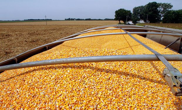 El rol del campo en la economía.