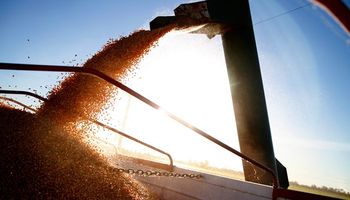Argentina obtiene una habilitación clave para exportar maíz a China