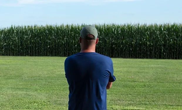 Chicago: el maíz opera en máximos de dos meses