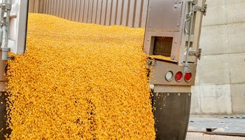 Alerta por el costo de llevar granos al puerto: hasta el 32% de un camión de maíz se lo lleva el flete y habrá "bolsones por todos lados"