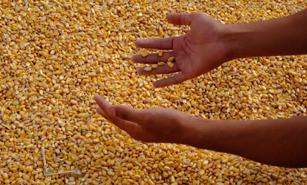 Se reavivó la crisis ruso-ucraniana y hubo fuertes subas en el mercado de granos