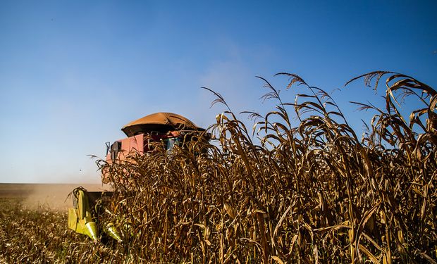 De qué se habla en el mercado de granos: se vienen los vencimientos financieros y hay más buques esperando para cargar la cosecha argentina