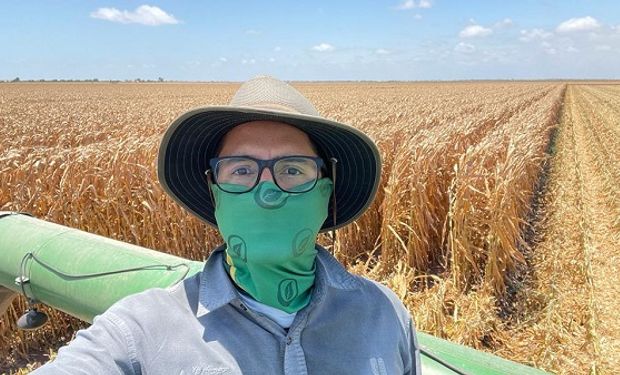 Maíz con riego: cómo es producir en México y qué les sorprende del agro argentino