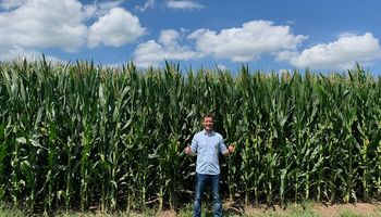 La batalla agrícola: dos lecciones desde el campo que me marcaron un antes y un después en el manejo del maíz
