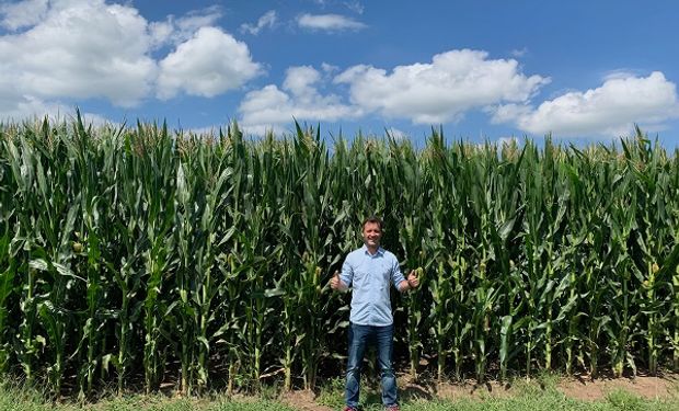La batalla agrícola: dos lecciones desde el campo que me marcaron un antes y un después en el manejo del maíz