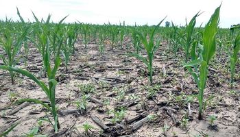 Cambio climático, un factor que amenaza la disponibilidad de agua