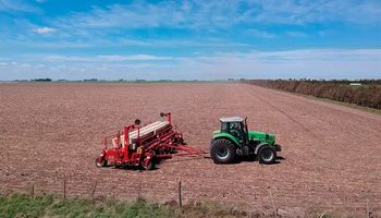 Caen los márgenes de la soja y el maíz: hay una merma de hasta 374 dólares en comparación con 2023
