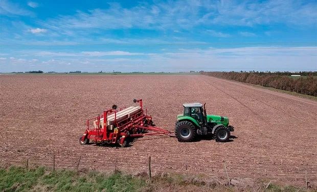 Caen los márgenes de la soja y el maíz: hay una merma de hasta 374 dólares en comparación con 2023