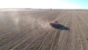 La siembra de trigo cayó un 23 % en la zona núcleo por falta de humedad, pero esos lotes ya se preparan para el maíz
