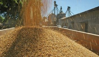 Los productores venderán hasta fin de año sólo la mitad de la soja que almacenan