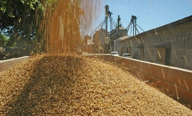 Los productores venderán hasta fin de año sólo la mitad de la soja que almacenan