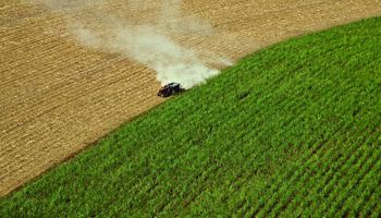 Campaña agrícola entra en su etapa final en EE.UU.