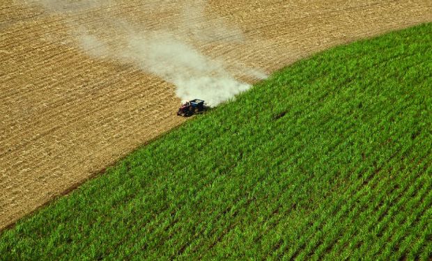 Campaña agrícola entra en su etapa final en EE.UU.