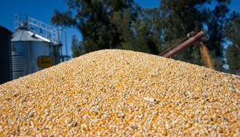 ¿Freno a la suba de precio? La campaña gruesa comenzará con récord de stock de granos en acopios, plantas industriales y exportación