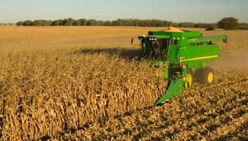 Así evolucionó la cosecha de soja, maíz y trigo en Argentina, Estados Unidos y Brasil