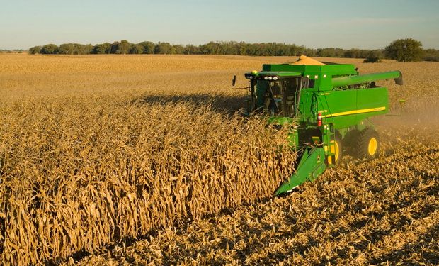 Así evolucionó la cosecha de soja, maíz y trigo en Argentina, Estados Unidos y Brasil