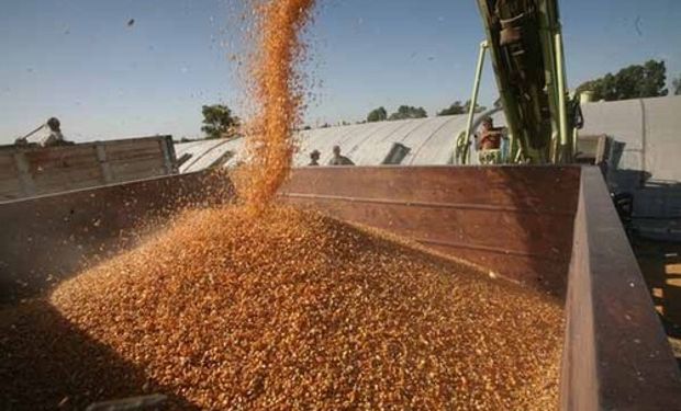 La campaña 2013/2014 podría dejar exportaciones por 31.000 millones de dólares