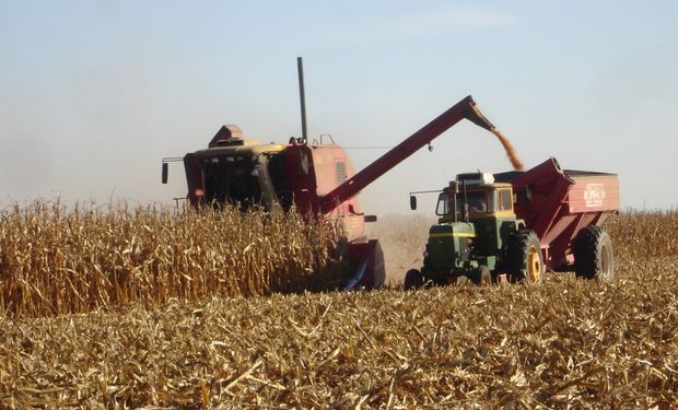 Comenzó la cosecha de maíz 2013/14