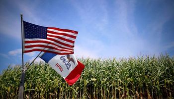 Fuertes bajas: el maíz cayó a un mínimo de seis semanas en Chicago y repercutió en Rosario