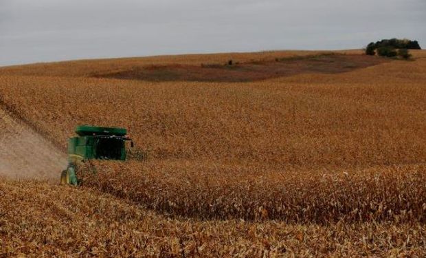 Cargill comenzará a pagar a los productores por capturar carbono en el suelo