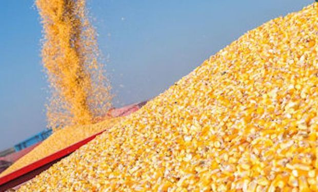 Récord: en 10 meses Argentina exportó 34,5 millones de toneladas de maíz