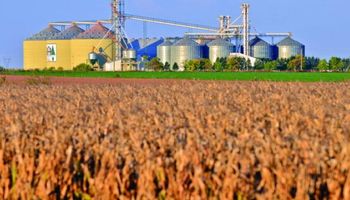 ¿Hay futuro para los biocombustibles?