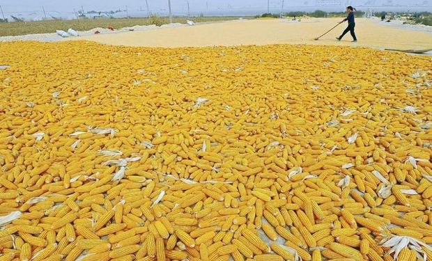 China es "el comodín más sorprendente".