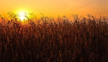 Un informe especial del Servicio Meteorológico Nacional advierte por altas temperaturas