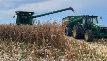 Quién es el productor que cosechó el primer maíz de la campaña