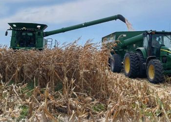 Quién es el productor que cosechó el primer maíz de la campaña