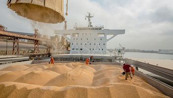 México prevé importar un volumen récord de maíz desde Brasil