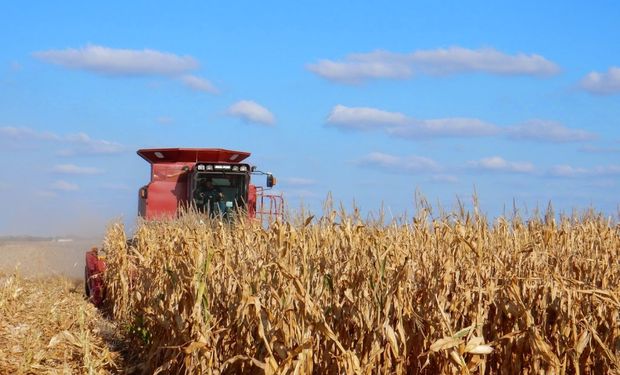 Determinación de la Subsecretaría de Mercados Agropecuarios.