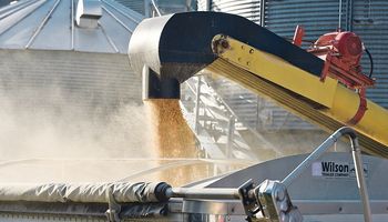Primeros datos del informe del USDA: cómo impacta sobre las cotizaciones de soja, trigo y maíz