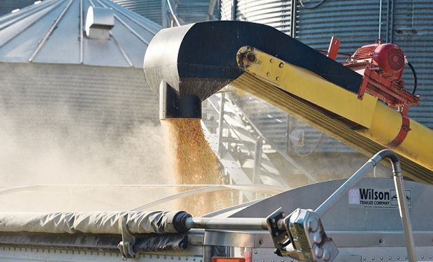 Primeros datos del informe del USDA: cómo impacta sobre las cotizaciones de soja, trigo y maíz