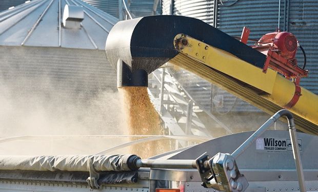 Primeros datos del informe del USDA: cómo impacta sobre las cotizaciones de soja, trigo y maíz