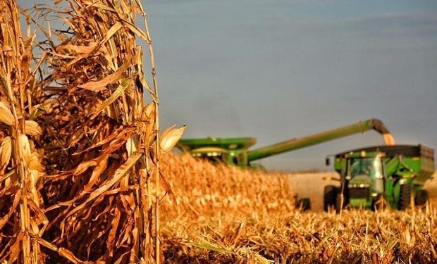 Suma rechazos la medida contra el maíz: "Demoler los cimientos del agro nunca puede desembocar en beneficios para los argentinos"