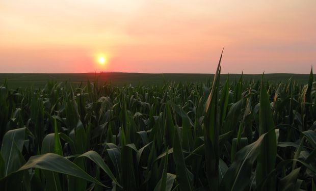 Argentina necesita una nueva revolución agrícola para financiar el déficit energético que llegó para quedarse un buen tiempo más.