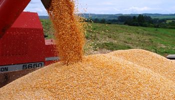 No vender maíz puede costarle caro a los productores brasileños