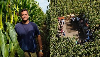 ¿Se puede producir maíz en la Patagonia? Lo logró y cuenta los secretos para llegar a 17.000 kilos por hectárea