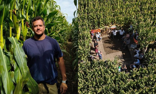 ¿Se puede producir maíz en la Patagonia? Lo logró y cuenta los secretos para llegar a 17.000 kilos por hectárea