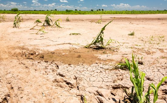 Córdoba implementa el seguro multirriesgo para el agro y abre el camino a una propuesta replicable en todo el país